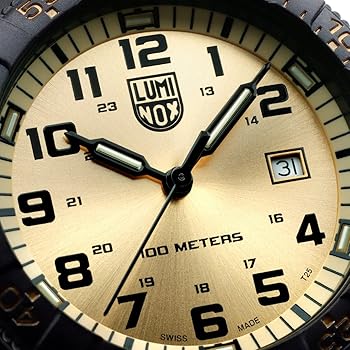 Amazon.com: Luminox Leatherback SEA Turtle Giant 0320 Series